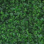 Brise-vue Feuillage Artificiel Lierre