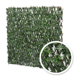 Treillis Extensible Vigne Vierge brise-vue