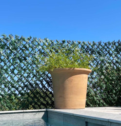 Treillis Extensible Vigne...