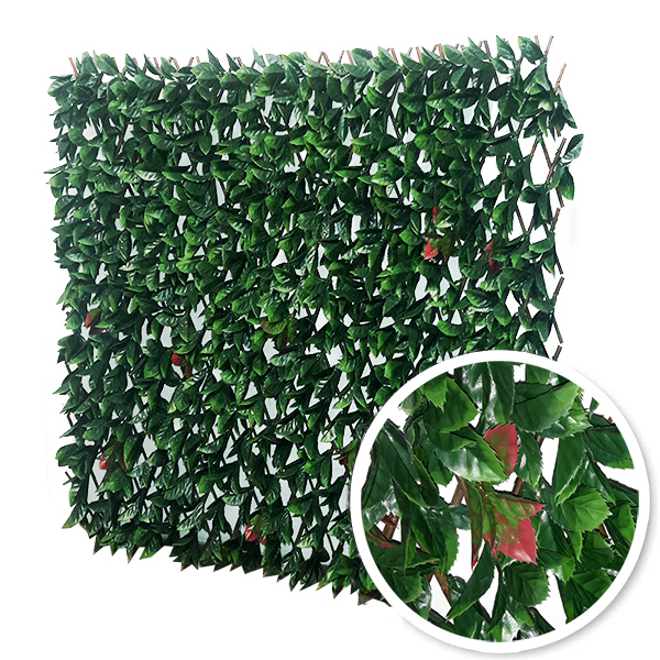 Treillis extensibles